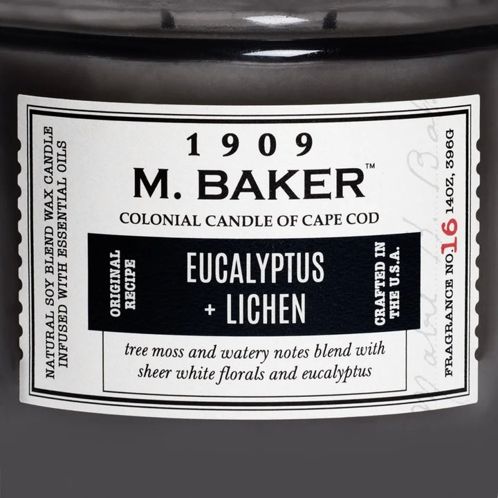 Eucalyptus Lichen Aromatherapy Candle 2 Wicks Soy Wax Natural Fragrance Clean Minty Earthy Scent Long Lasting Burn Time 60 Hours