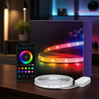 LED STRIP LIGHTS – RGBIC, APP CONTROL & MUSIC SYNC - 1