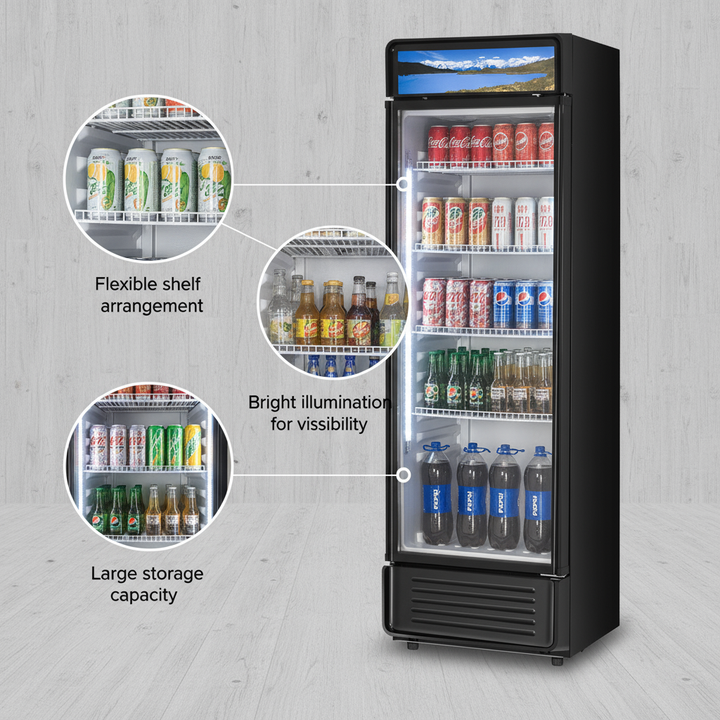 Commercial Merchandiser Refrigerator 13.3 CU.FT Glass Door Display Refrigerator