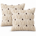 Show Beige & Brown – Set of 2