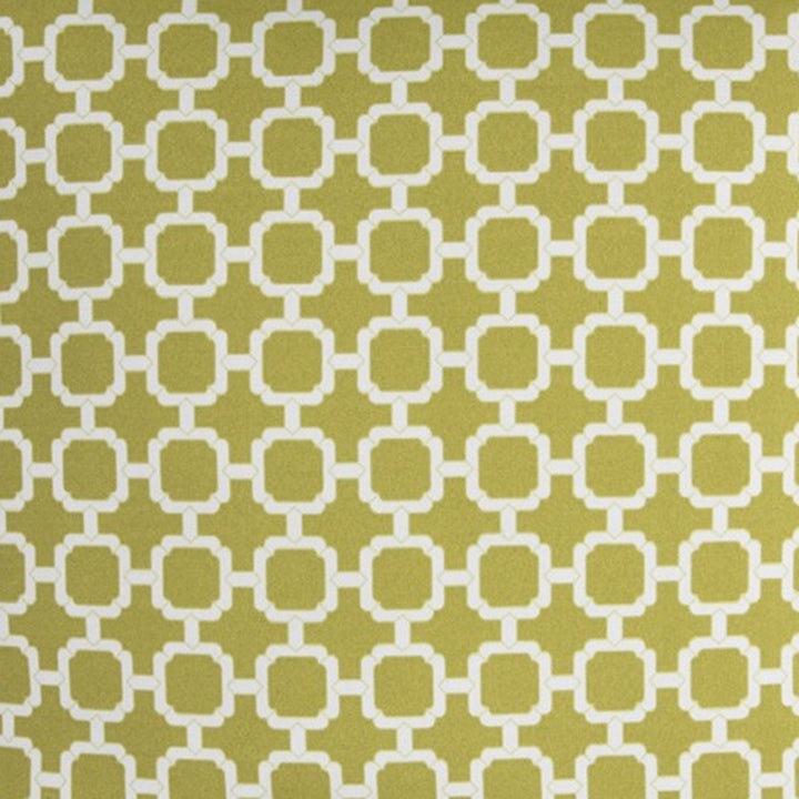 Modern  22" Green and White Quatrefoil Indoor Outdoor Throw Pillow