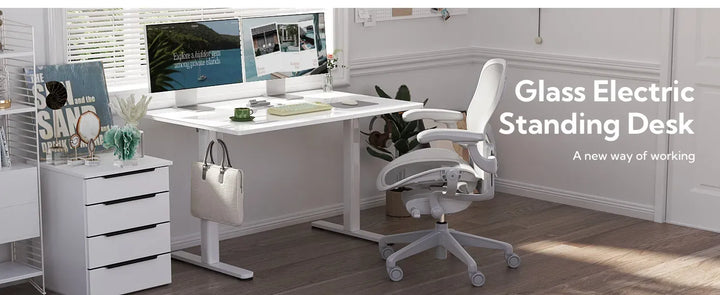 48 Inch Electric White Glass Standing Desk, Adjustable Height ,Quick Install Home Office Computer Desk, Stand Up Desk
