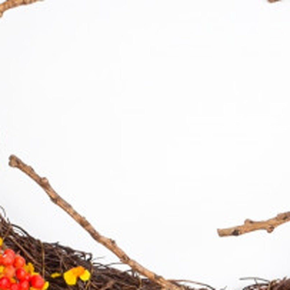 Brown Orange Red Berry & Twig Fall Wreath – 25" Traditional Autumn Door Decoration | Styrofoam Base Artificial Wreath | Trufairs