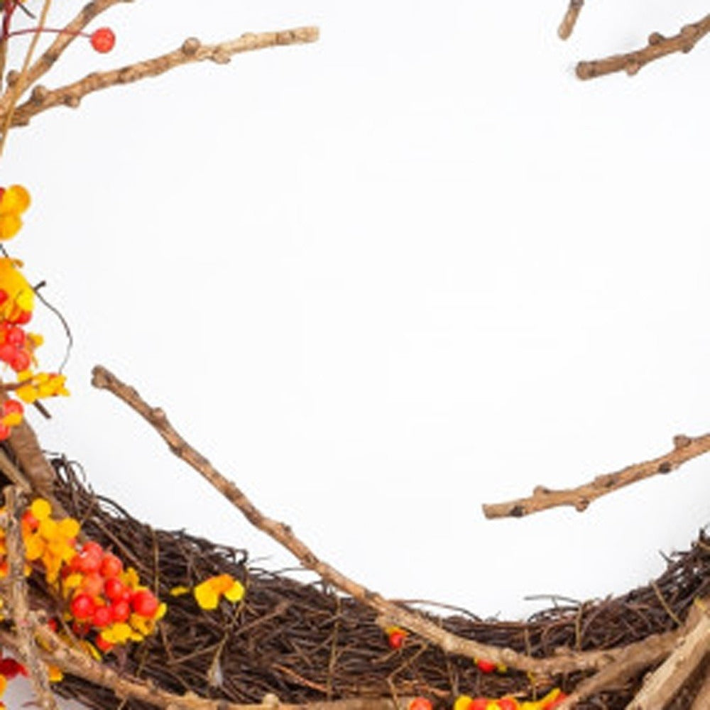 Brown Orange Red Berry & Twig Fall Wreath – 25" Traditional Autumn Door Decoration | Styrofoam Base Artificial Wreath | Trufairs