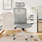 Ergonomic Office Chair Home Computer Desk Chair Adjustable Lumbar Support Flip Up Armrests Breathable Mesh Seat with Headrest Grey