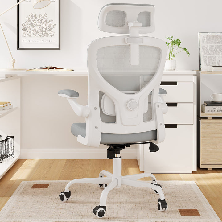 Ergonomic Office Chair Home Computer Desk Chair Adjustable Lumbar Support Flip Up Armrests Breathable Mesh Seat with Headrest Grey