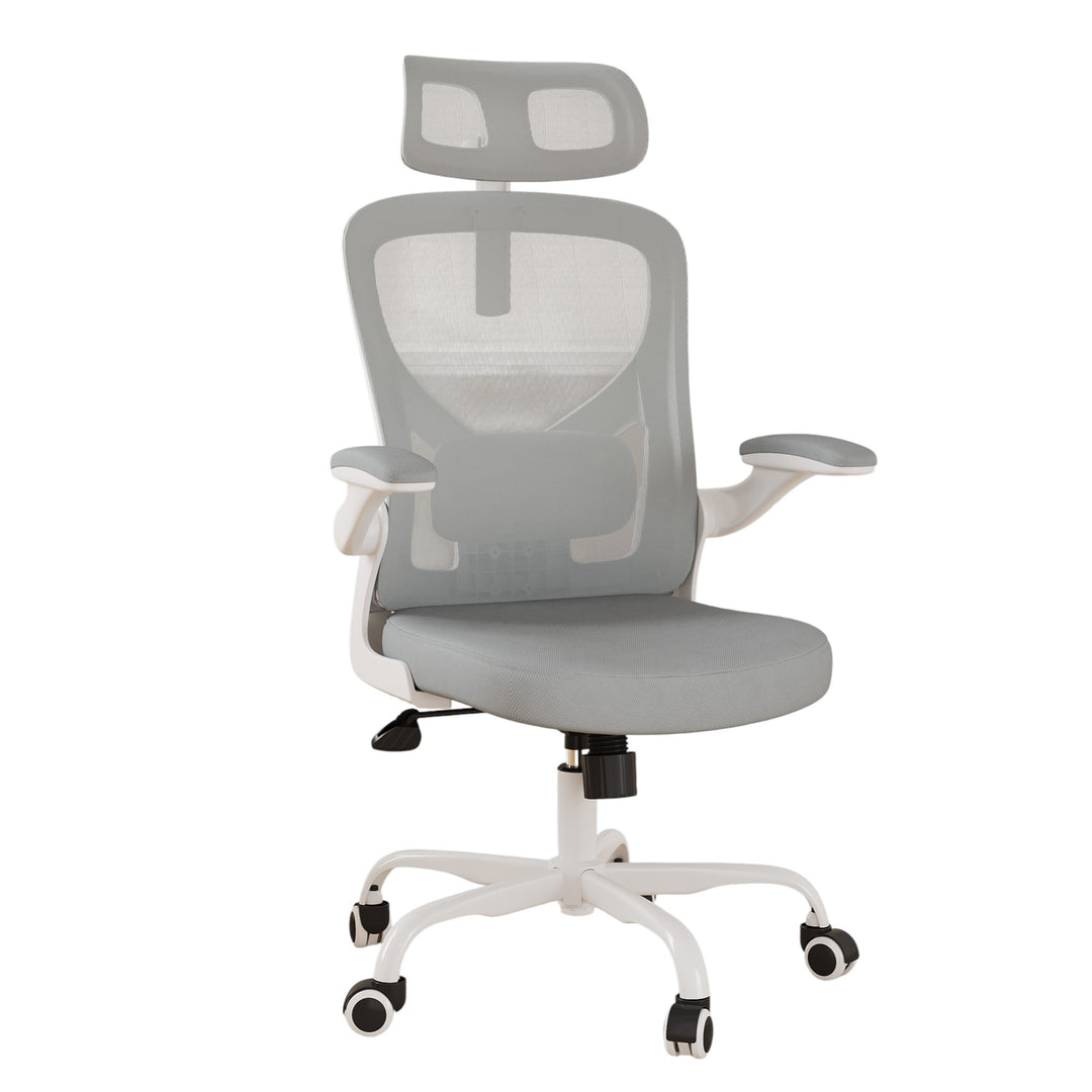 Ergonomic Office Chair Home Computer Desk Chair Adjustable Lumbar Support Flip Up Armrests Breathable Mesh Seat with Headrest Grey