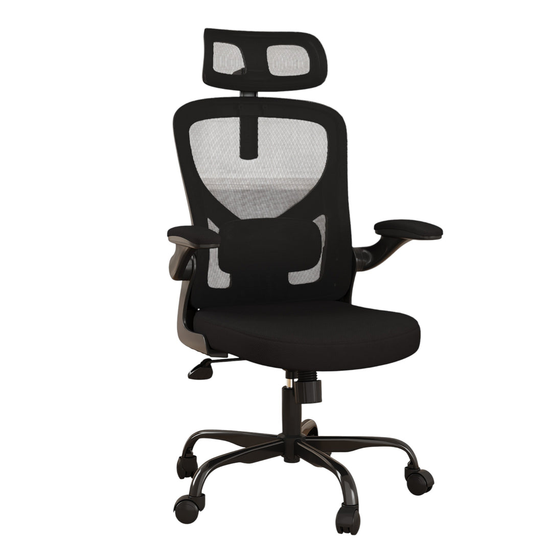 Ergonomic Office Chair Home Computer Desk Chair Adjustable Lumbar Support Flip Up Armrests Breathable Mesh Seat with Headrest Black