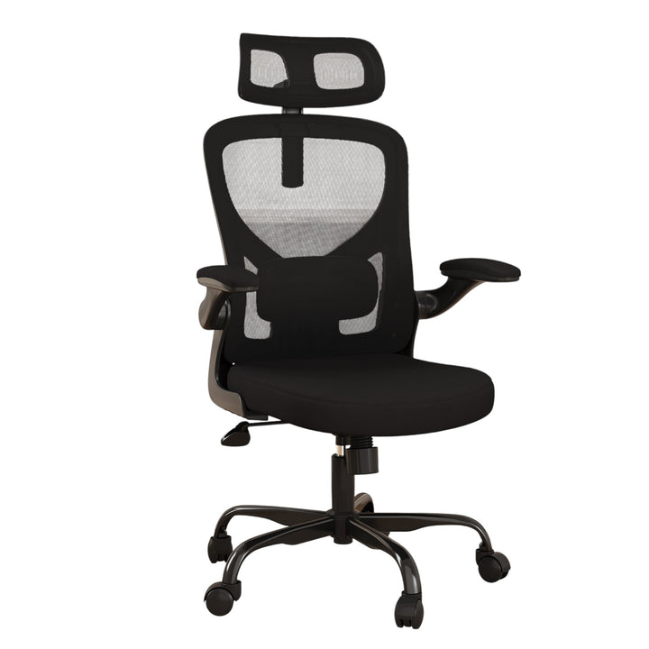 Ergonomic Office Chair Home Computer Desk Chair Adjustable Lumbar Support Flip Up Armrests Breathable Mesh Seat with Headrest Black