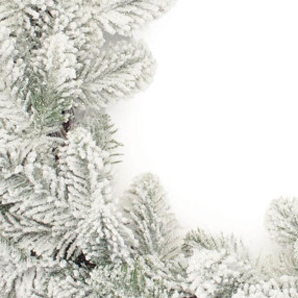 Winter Elegance Eucalyptus Wreath – Festive Flocked Charm | Artificial Holiday Decor | Trufairs
