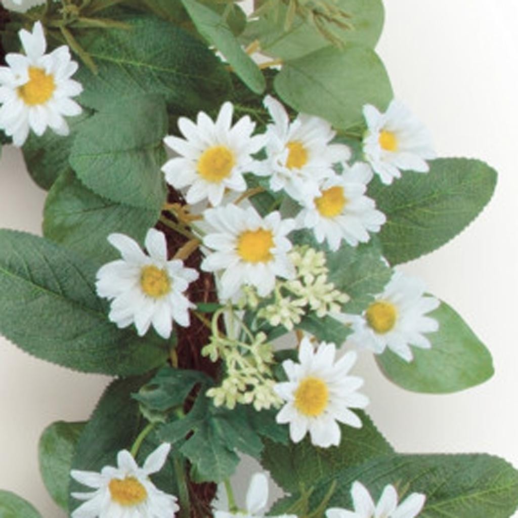 Daisy Fresh Bloom Wreath – Lively Spring Accent | Artificial Decor | Trufairs