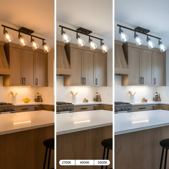 4-Light Vanity Light Bathroom Fixture with Clear Glass Shade Multi-Directional Rotating Metal Ceiling Spotlight Fixture with Adjustable Track Heads