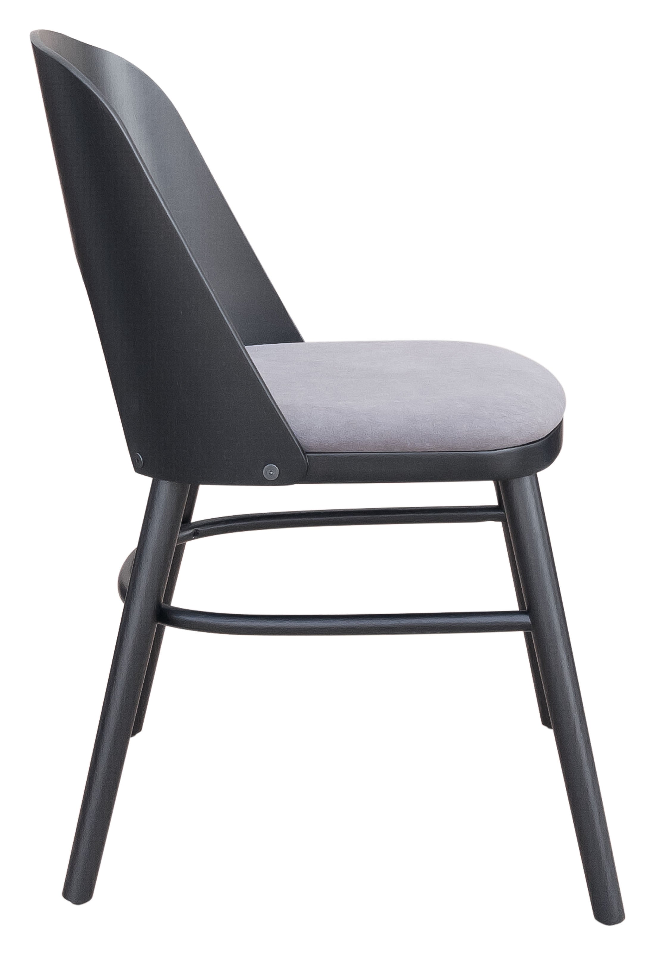 Iago Dining Chair (Set of 2) Gray & Black