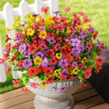 Show Mixed Purple Red Rose Red Yellow Daisy Flowers