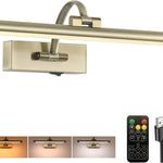 Rechargeable Picture Light