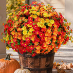 Artificial Fall Flowers for Outdoors – UV-Resistant, 12 Bundles