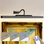 Rechargeable Cordless Picture Lights with Remote Control