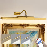 Rechargeable Cordless Picture Lights with Remote Control