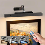 Rechargeable Cordless Picture Lights with Remote Control