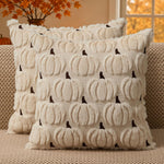 Pumpkin Pillow Covers Set of 2 | 3D Fall Decorative Covers