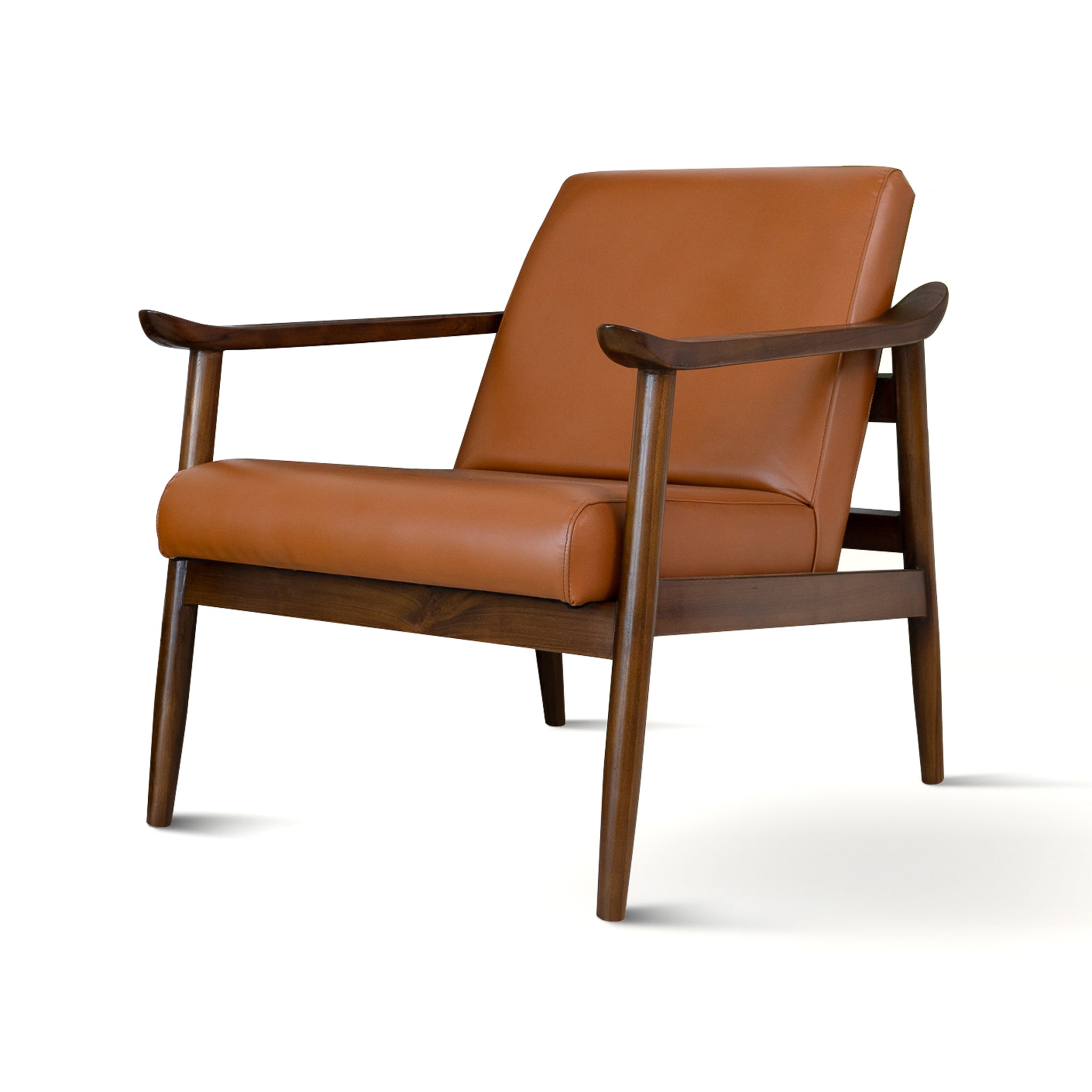 Brandon Solid Dark Tan Leather Lounge Chair