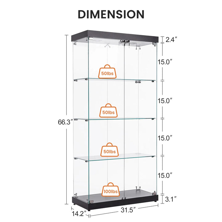 Double Door Glass Cabinet