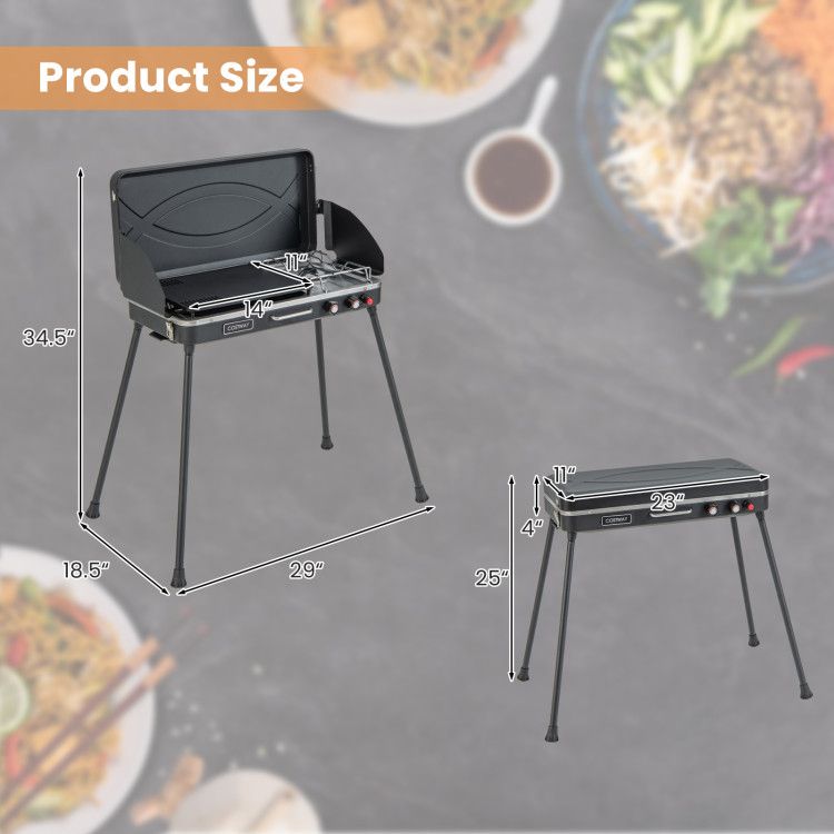 Dual-Burner Gas Camping Grill 