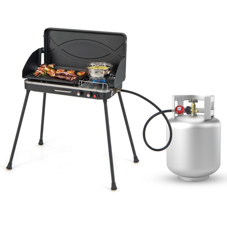 Dual-Burner Gas Camping Grill 