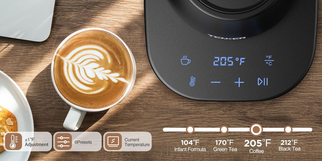 Electric Gooseneck Kettle