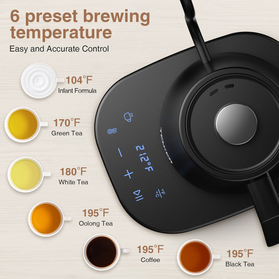 Electric Gooseneck Kettle