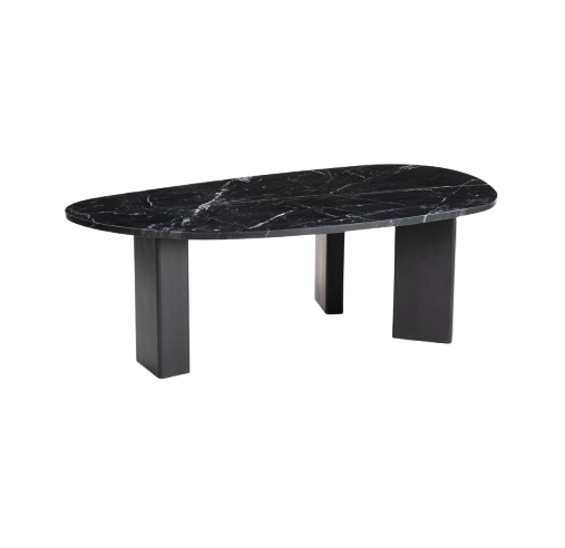 Sculptural Black Coffee Table – Modern Minimalist | Bold Living Room Centerpiece | Trufairs