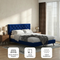 Dillon Blue Velvet Platform Bed (Queen Size)