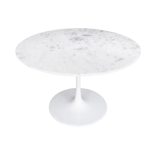 Phoenix Dining Table White
