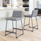Pago Counter Stool (Set of 2) Gray