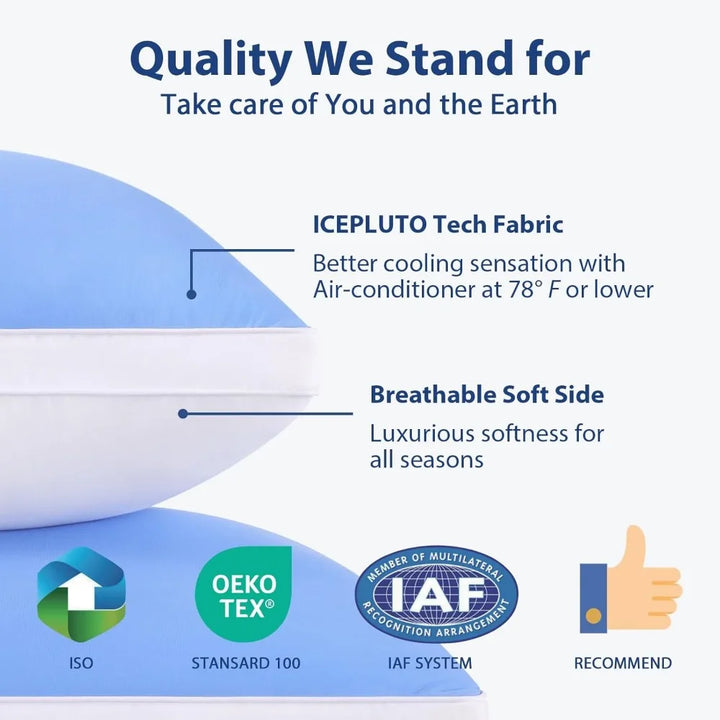 Pillows Queen Size Set