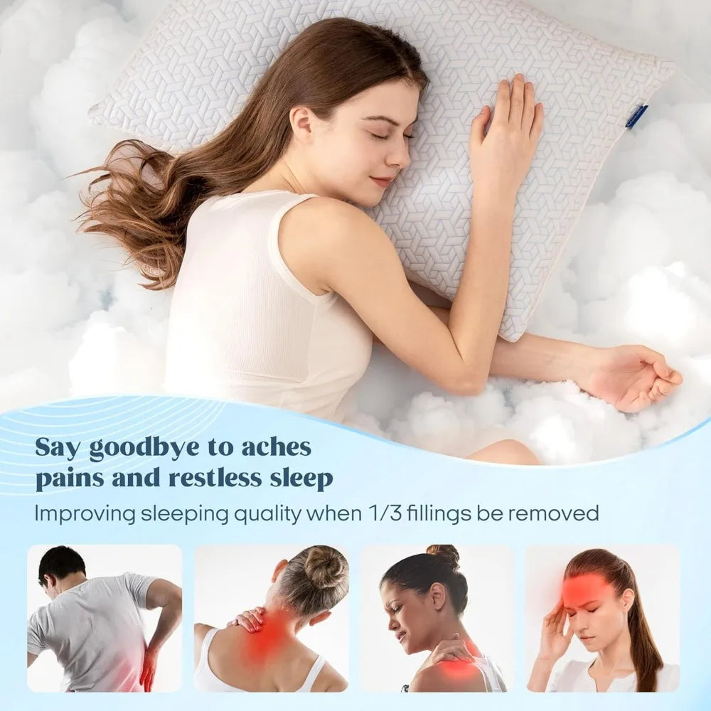 Queen Size Pillows Set