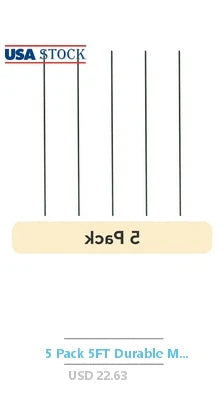 Eucalyptus Lichen Aromatherapy Candle 2 Wicks Soy Wax Natural Fragrance Clean Minty Earthy Scent Long Lasting Burn Time 60 Hours