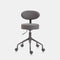 Pneumatic Swivel Rolling Stool Chair with Backrest 503 Kai (Gray)