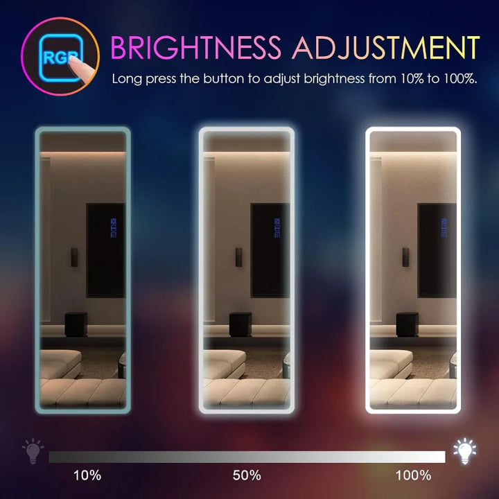LED RGB Full Length Mirror, Full Body Mirror with Lights, Wall Mounted Lighted Mirror, Over The Door Hanging Mirror, 14 L