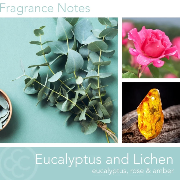 Eucalyptus Lichen Aromatherapy Candle 2 Wicks Soy Wax Natural Fragrance Clean Minty Earthy Scent Long Lasting Burn Time 60 Hours