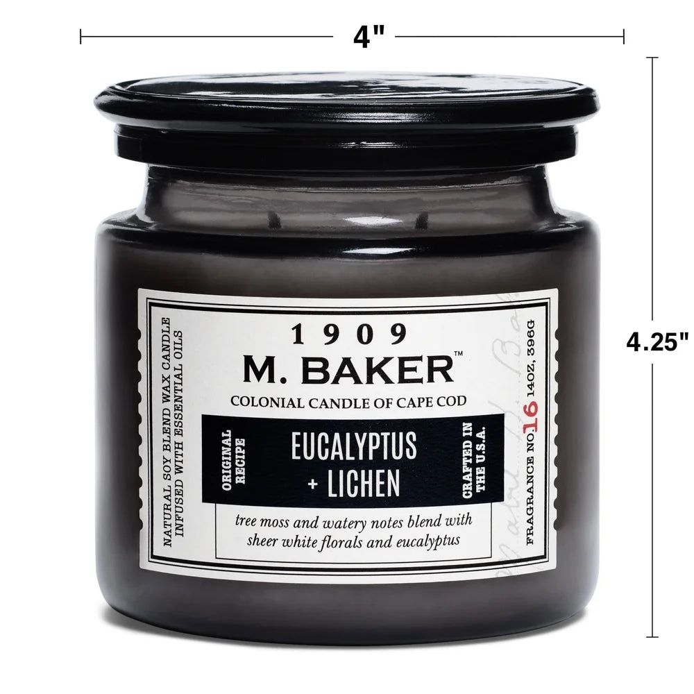 Eucalyptus Lichen Aromatherapy Candle 2 Wicks Soy Wax Natural Fragrance Clean Minty Earthy Scent Long Lasting Burn Time 60 Hours