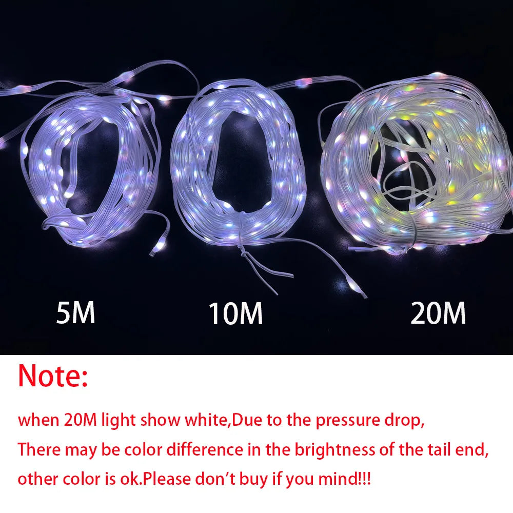 USB Christmas RGBIC String Light Tuya WIFI Remote Control 5M 10M 20M Pixel String Light WS2812 Music Waterproof Fairy Lights