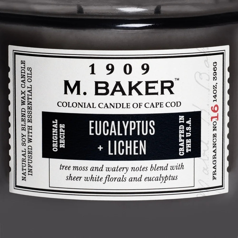 Eucalyptus Lichen Aromatherapy Candle 2 Wicks Soy Wax Natural Fragrance Clean Minty Earthy Scent Long Lasting Burn Time 60 Hours