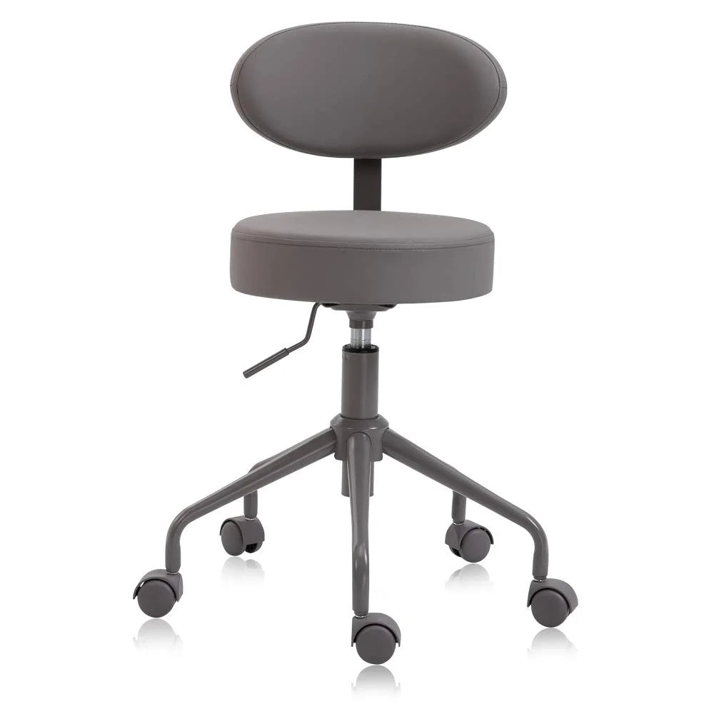 Pneumatic Swivel Rolling Stool Chair with Backrest 503 Kai (Gray)