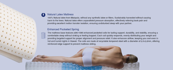 8 inch Twin Natural Latex Mattress Individually Encased Pocket Coil Firm Supportive Naturally Cooling Organic Mattress 120-Night