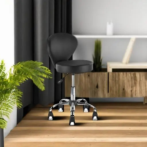 Rolling Swivel Salon Stool Chair with Back Support Adjustable Hydraulic Seat Height 22 in