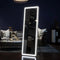 60"x16" Full Length Mirror with Lights,LED Mirror Full Length,Lighted Floor Mirror with Stand,Full Body Mirror with Dimming & 3