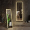 Led Full Body Mirror 64"x 21"Rectangle Wall Mounted Free Standing Leaning for Home, White