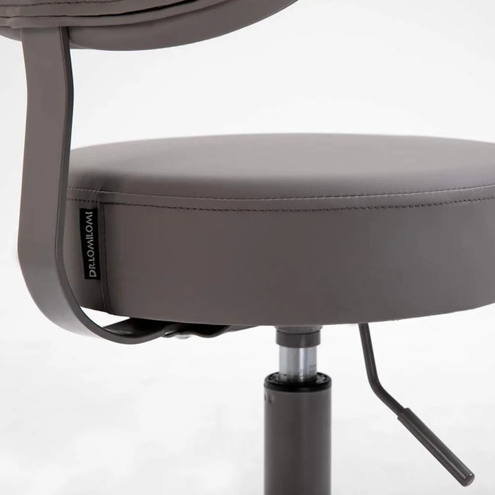 Pneumatic Swivel Rolling Stool Chair with Backrest 503 Kai (Gray)