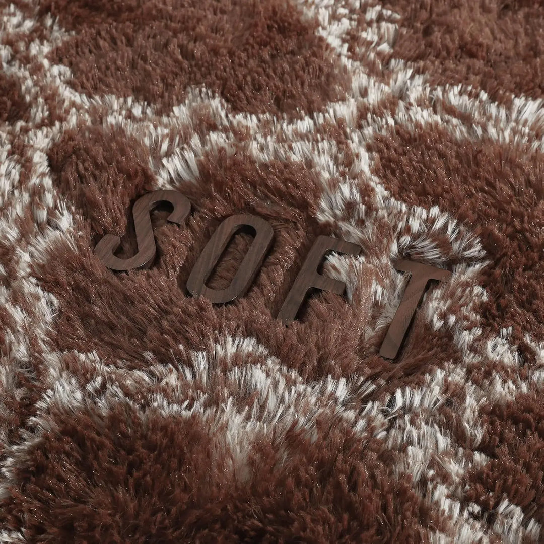 Large Shag Area Rugs for Bedroom Super Soft Plush Fluffy Carpets Living Room Rug Non-Slip Indoor Floor Rug for Kids Nursery Girl